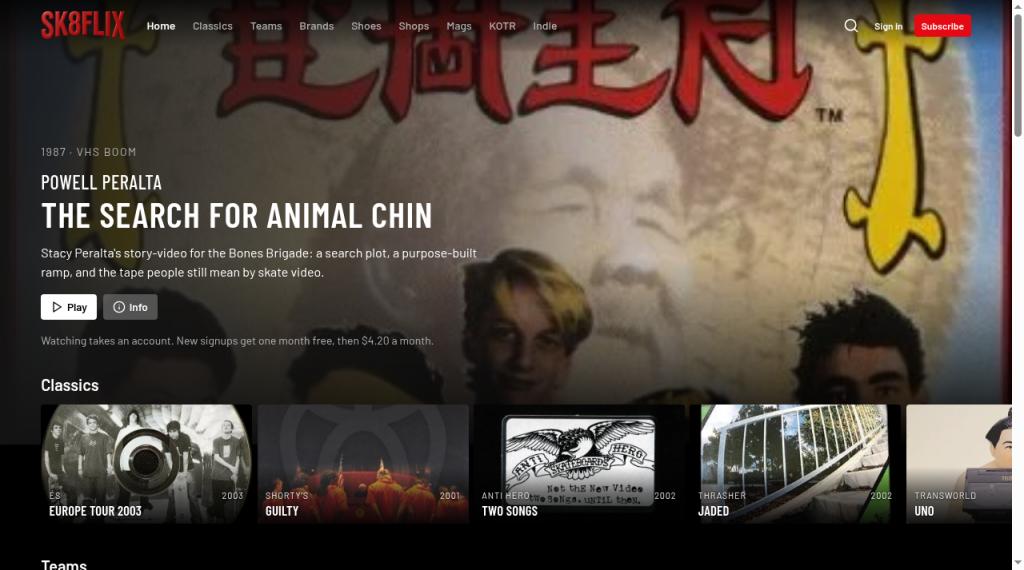 SK8FLIX website